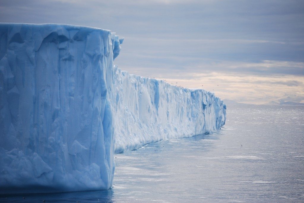 Ice cliff seen on Northwest Passage trip