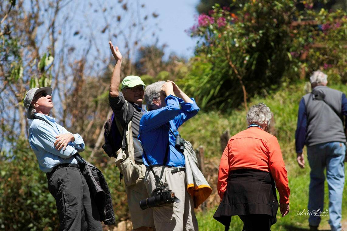 Older group looks at birds in Costa Rica