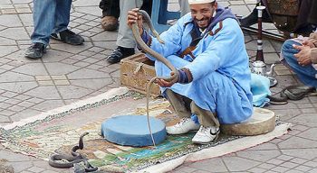 Snake charmer in Morocco