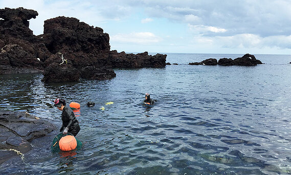 Haenyeo sea women emerge from a dive. 