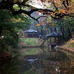 Changdeokgung_Palace.jpg