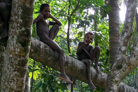 papua-new-guinea-boys-in-trees.jpg