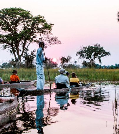 Botswana wetland tour