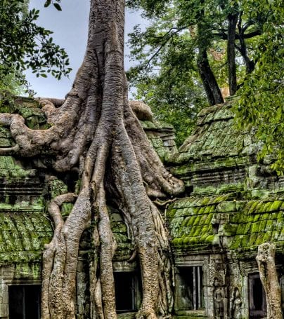 Walls of Angkor Wat temple in Siem Reap, Cambodia