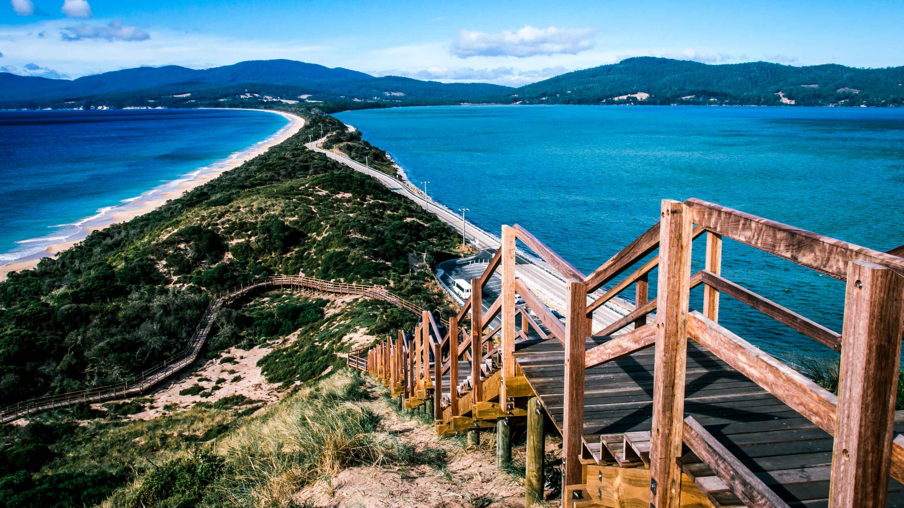 bruny island safari tour