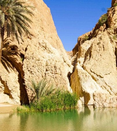 Mountain oasis of Chebika, Tunisia