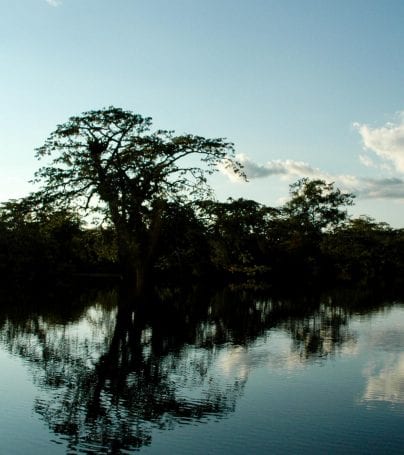 Napo River bank at sunset, in Ecuador