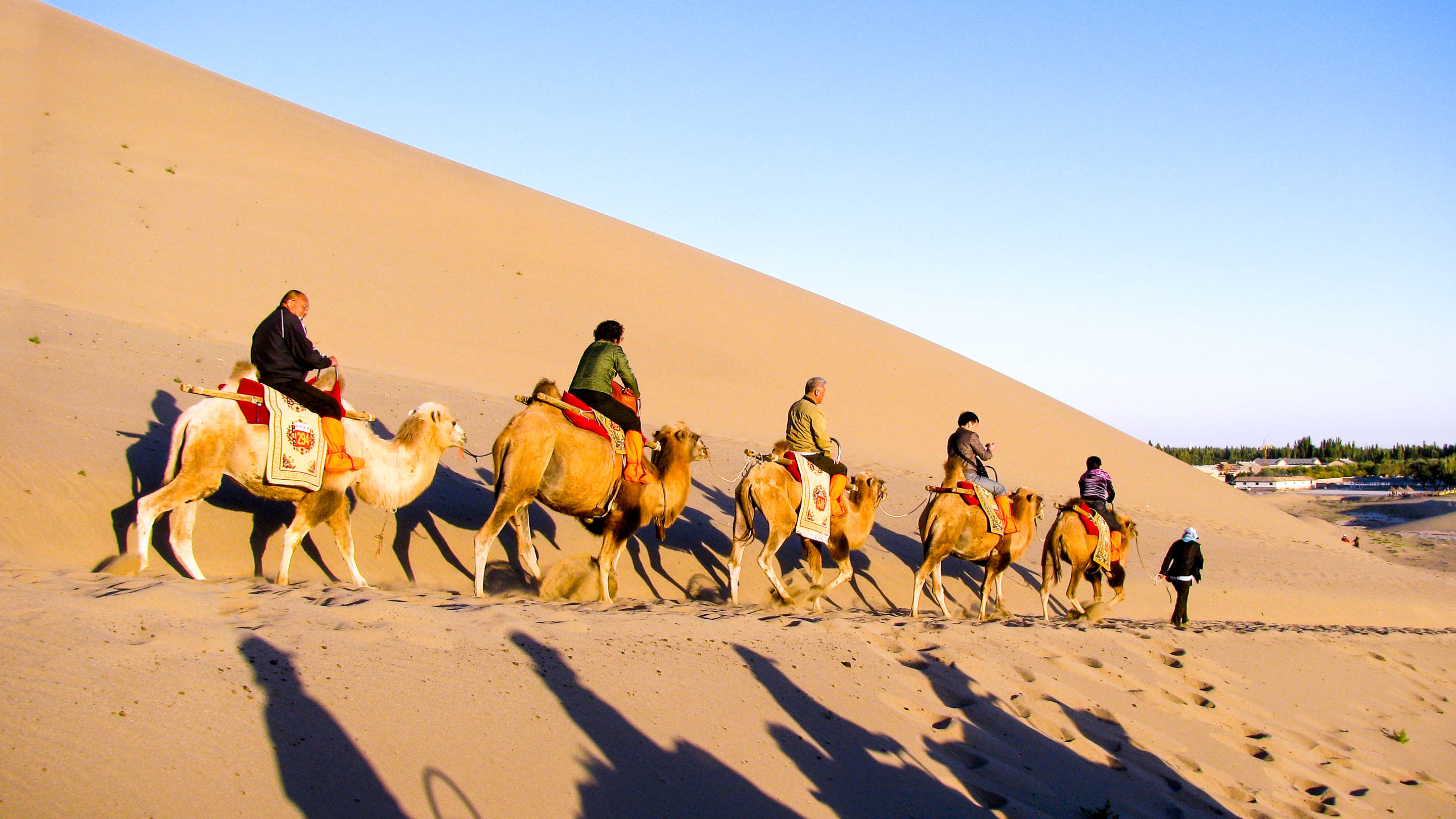 silk road group tours