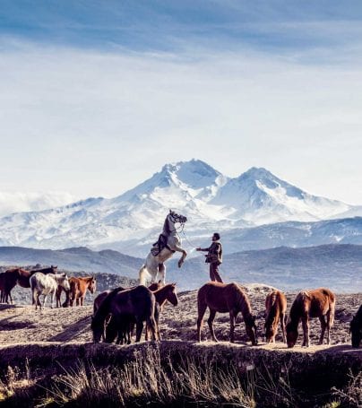 Man with horses in front of Mount Erciyes, Turkey