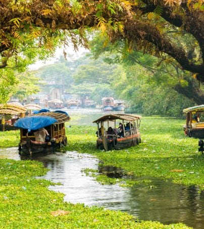 Houseboats in Alleppey, India