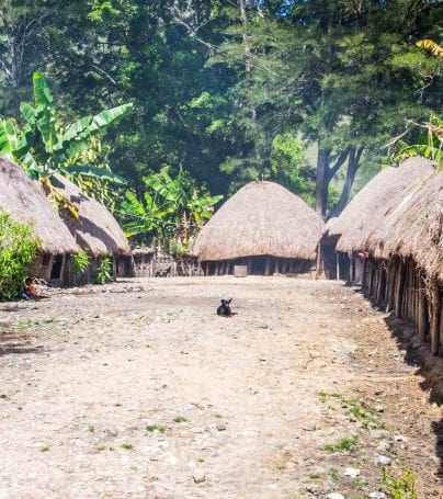 Dani village in Indonesia