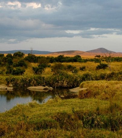 Maasai Mara landscape, Kenya