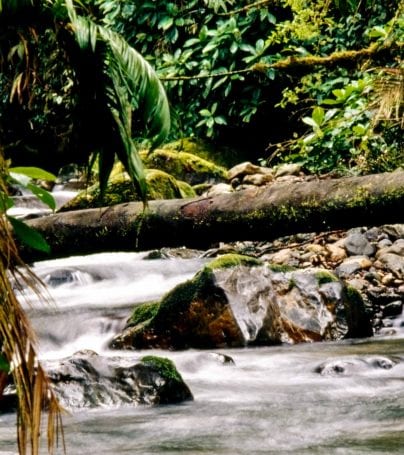 River in La Amistad National Park, Costa Rica