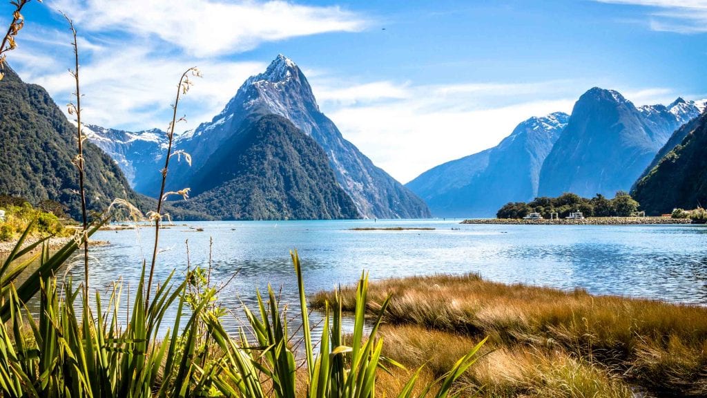 milford sound tour package