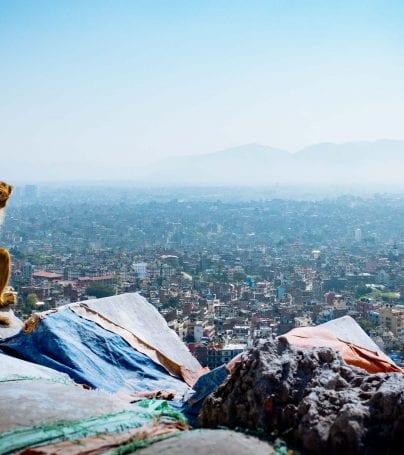 Monkey overlooks Kathmandy, Nepal