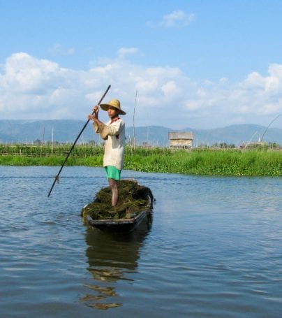 Myanmar man steers boat on Inle Lake