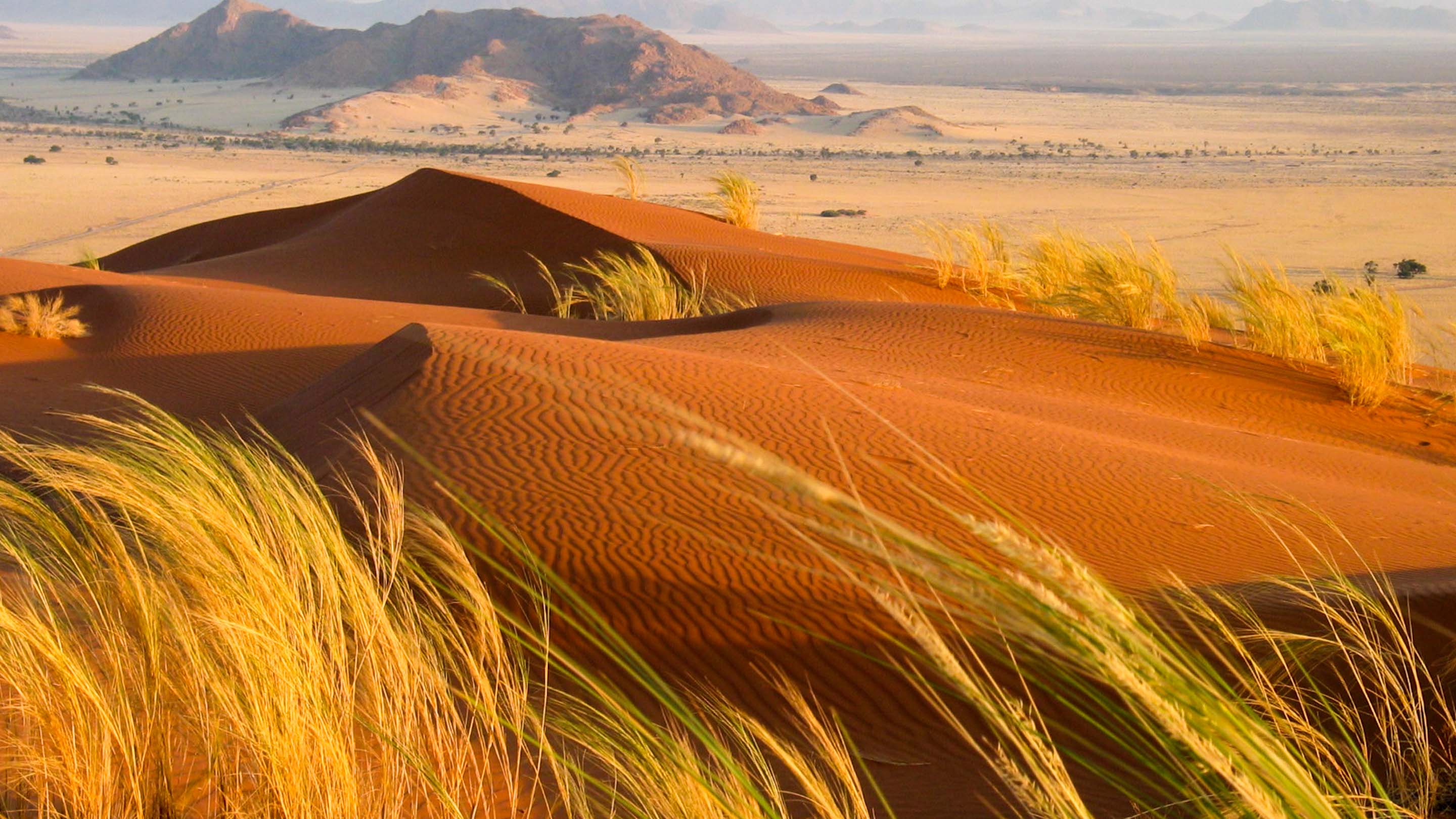 tourism in the kalahari desert