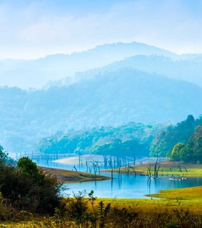 Periyar National Park, India