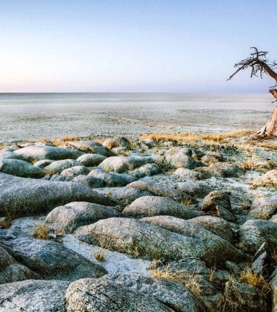 Lone Baobab tree on rocky Africa landscape