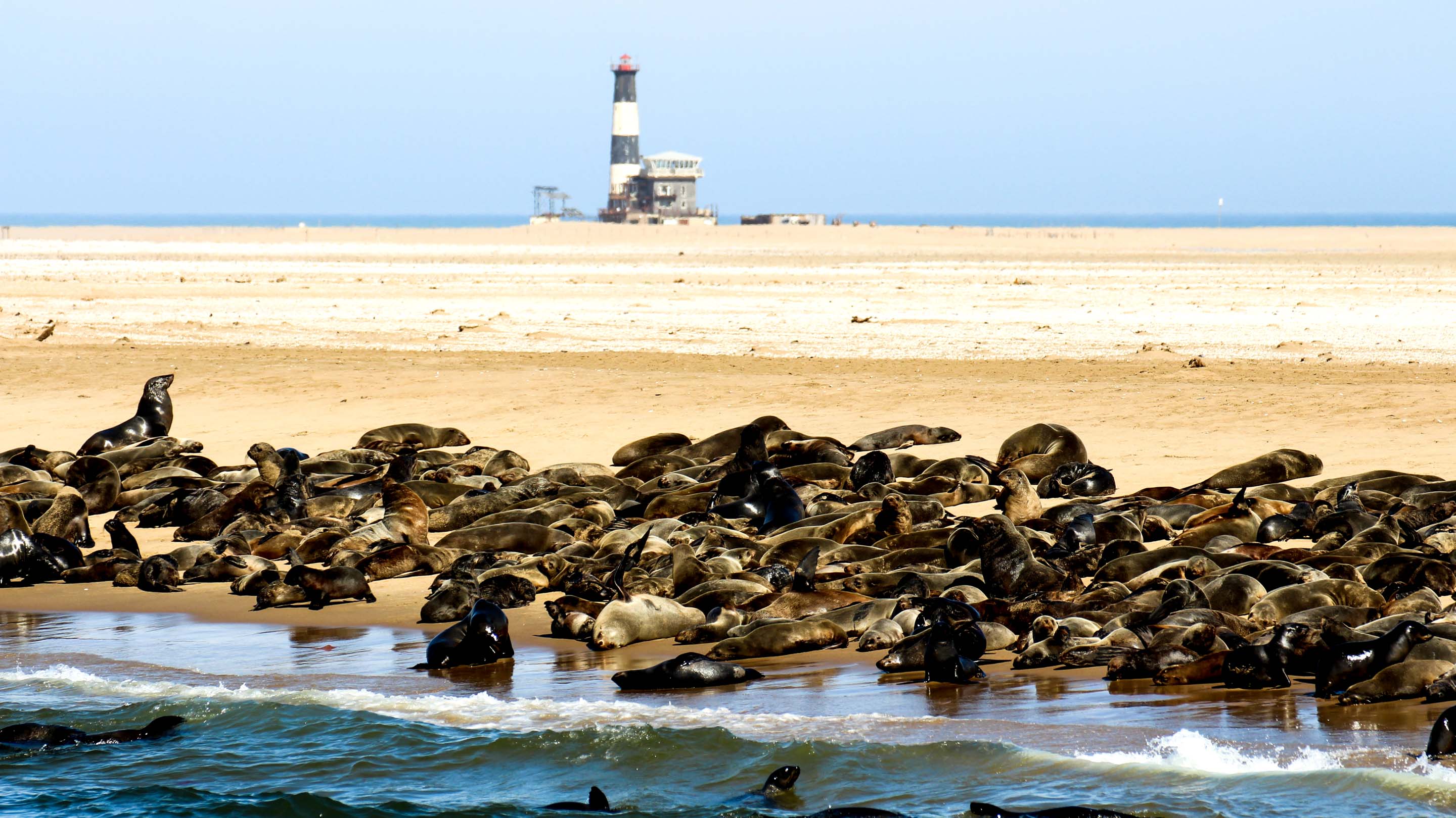 walvis bay namibia africa walvis bay namibia africa