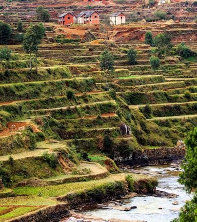 Terraced farming near Antsirabe, Madagascar