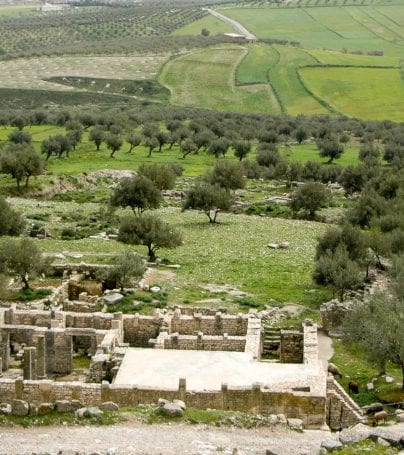 Ruins at Carthage, Tunisia