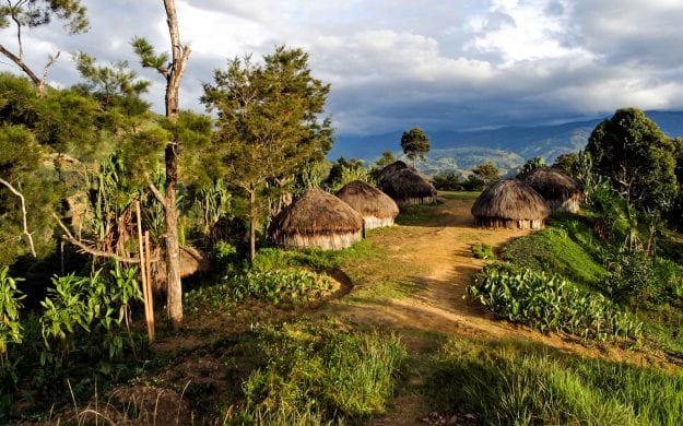 Village huts in Papua New Guinea