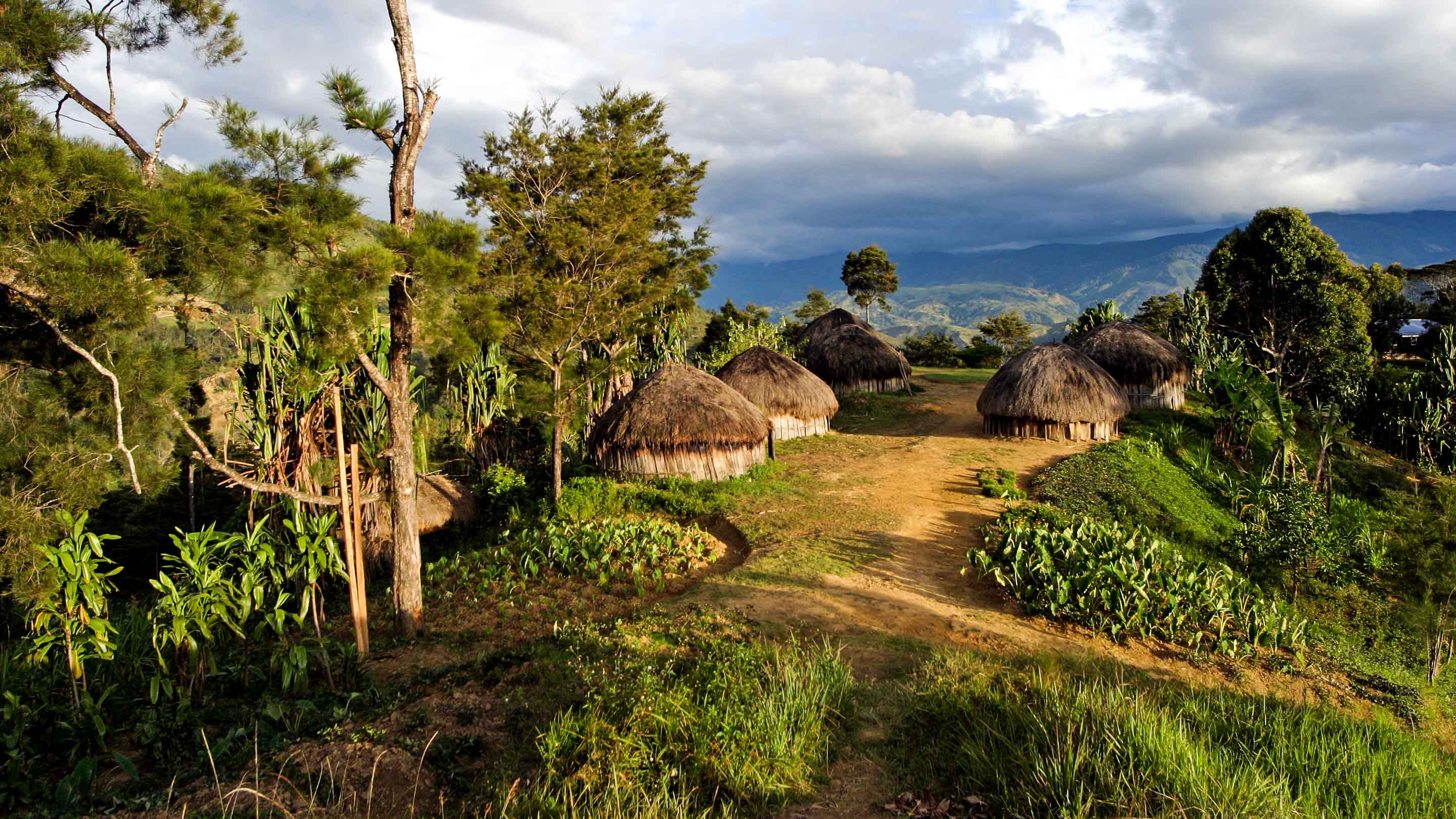 Village huts in Papua New Guinea