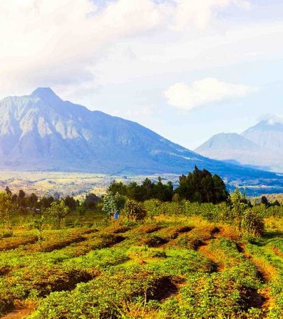 Virunga Mountains, Rwanda