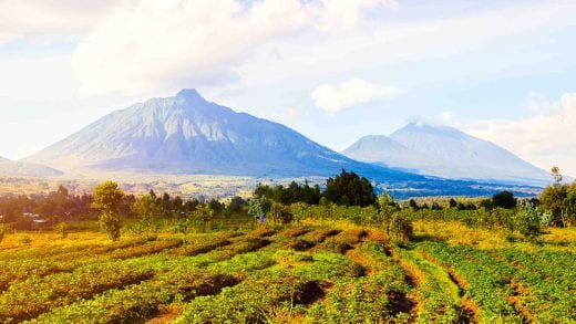 Virunga Mountains, Rwanda