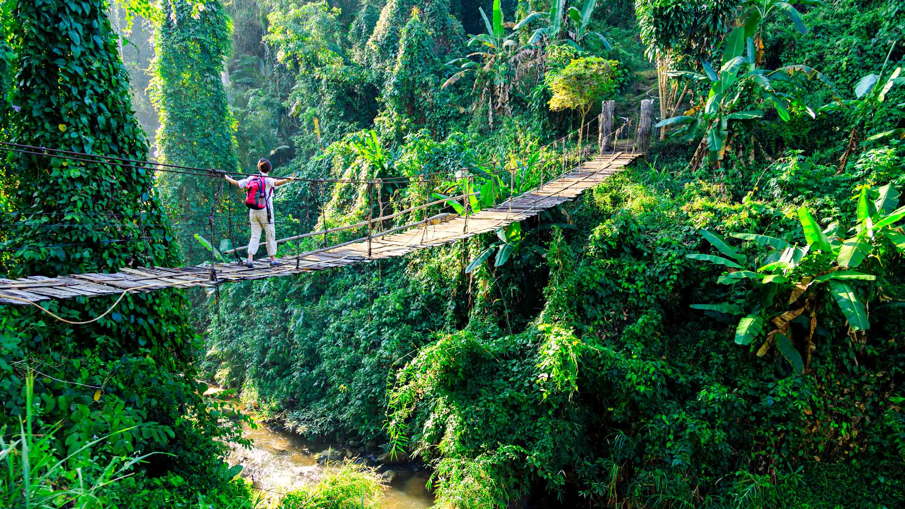 jungle adventure travel