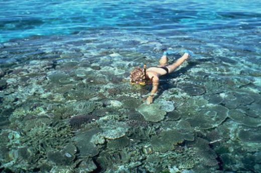 Snorkeling is a popular activity in Freycinet