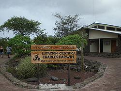 Learn about preservation efforts at Darwin Station