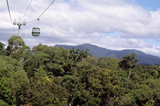 Amazing Views from the Skyrail