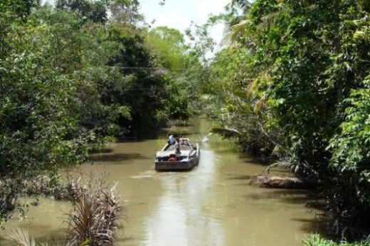 Take a sampan ride through the Mekong Delta canals