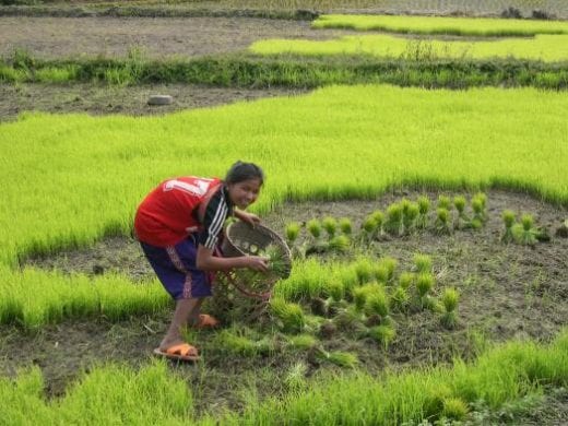 Nature & Cultures of Northern Thailand