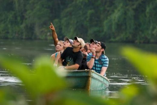 See hundreds of animals from the comfort of your boat. (Photo credit: Wayde Carroll)