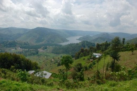 Visit the hills around Bwindi