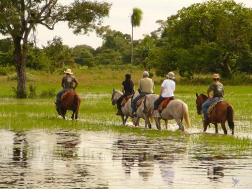 Horseback riding is just one of the many ways to explore the Pantanal