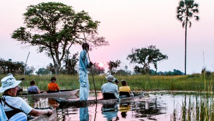 canoe on botswana okavango delta