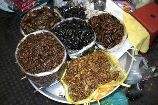 Local Cambodian delicacies - we dare you to try!