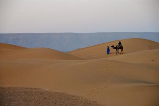 Take a desert camel ride at dusk