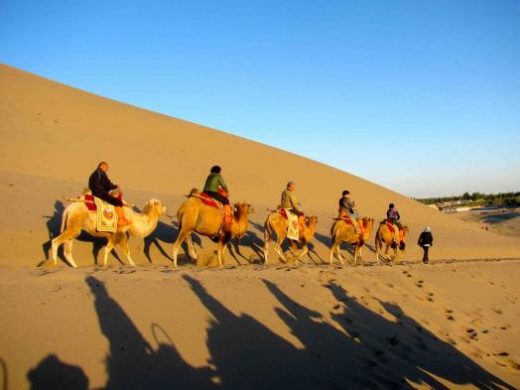 Enjoy a camel ride through the desert