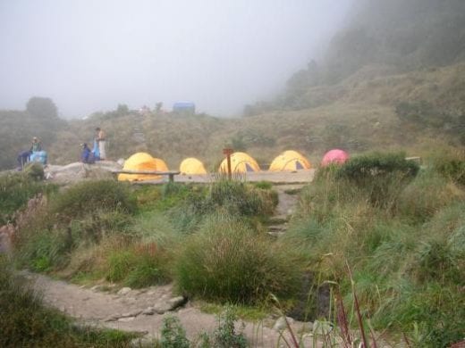 A view of the camp