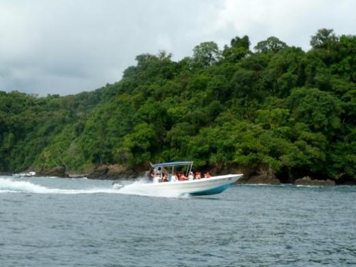 Travel by boat to Caño Island