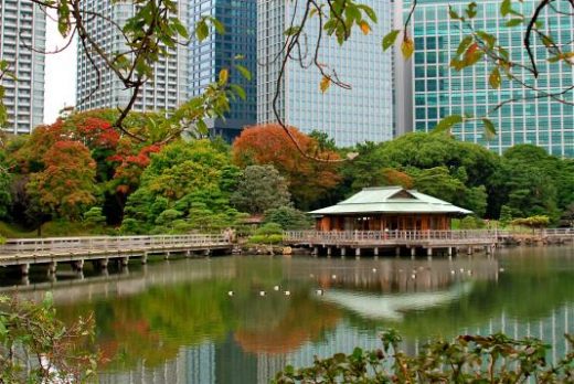 Tokyo park in autumn