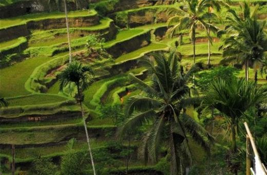 Driving across the center of Bali