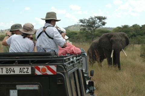 View wildlife from your vehicles