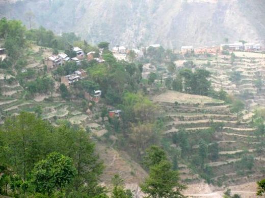 See mountain paddy fields