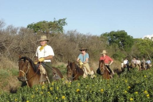 Enjoy riding horse during your stay